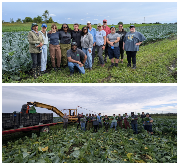 Hunger Task Force Farm